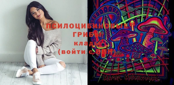 spice Алексеевка