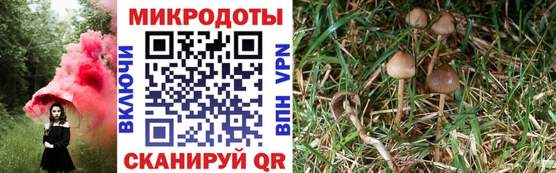 площадка наркотические препараты Фролово Псилоцибиновые грибы MAGIC MUSHROOMS где можно купить