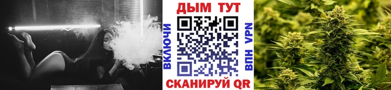 Шишки марихуана THC 21%  Фролово 